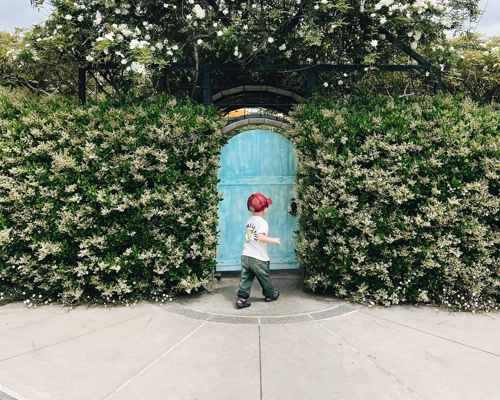 a young boy curiously stands in front of a blue door in a garden